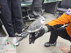 대전동물보호센터에서 보호하고 있는 유기된 동물소개합니다.