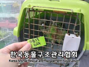 한국동물구조관리협회에서 보호하고 있는 유기된 동물입니다.