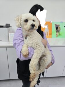 내품애센터에서 보호하고 있는 유기된 강아지소개합니다.