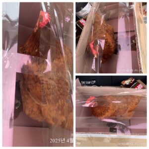 유기동물보호소에서 04월 10일 발견해서 보호하고 있는 동물 정보입니다.