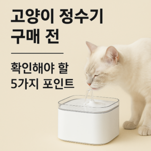 고양이 정수기 구매 전, 꼭 확인해야 할 5가지 포인트