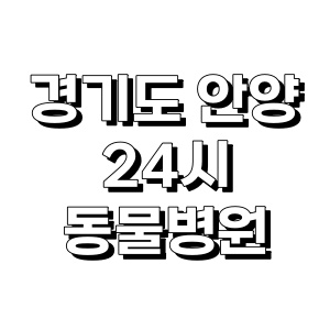 안양지역 24시간 운영 동물병원