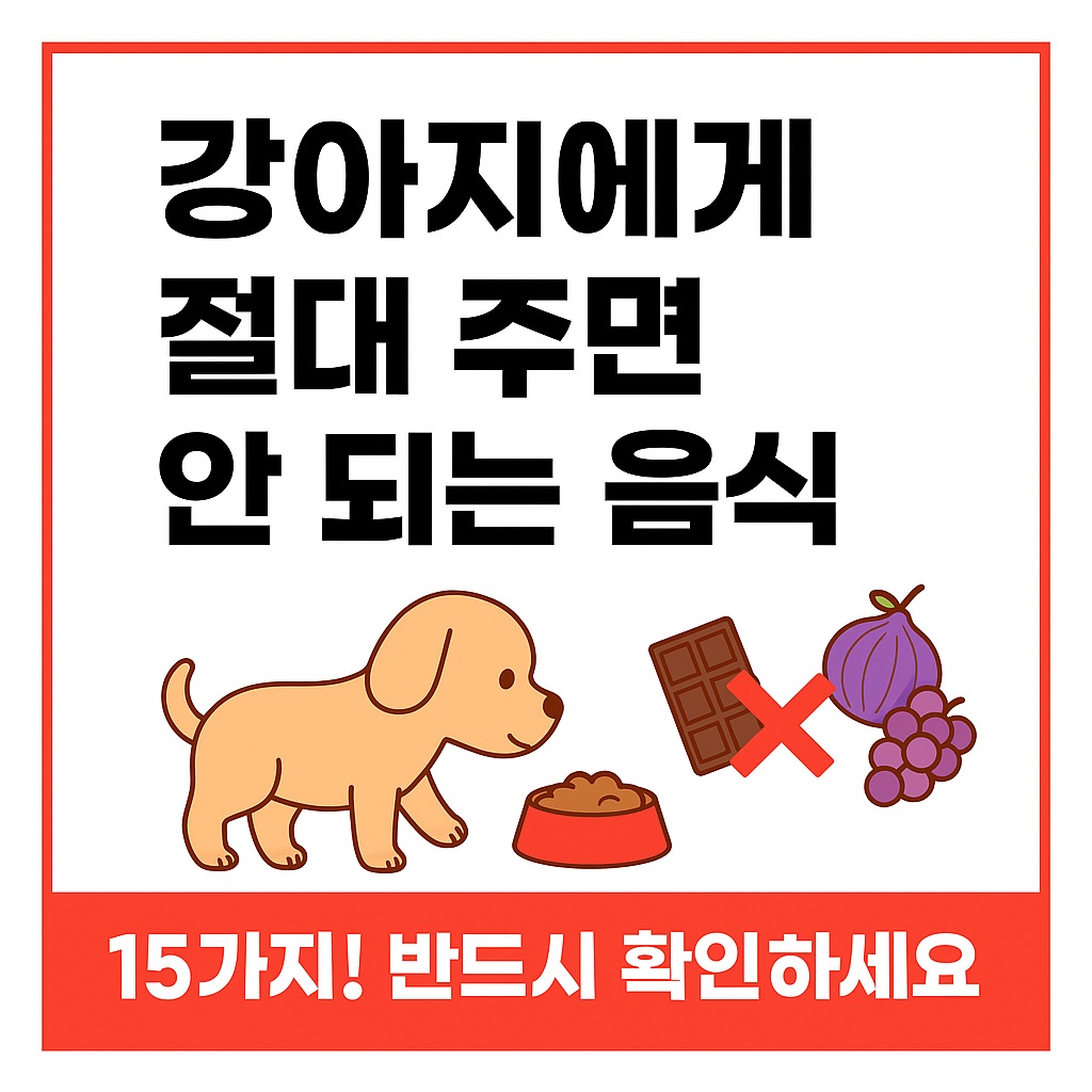 강아지 절대 주면 안 되는 음식 15가지, 초보 견주 필독