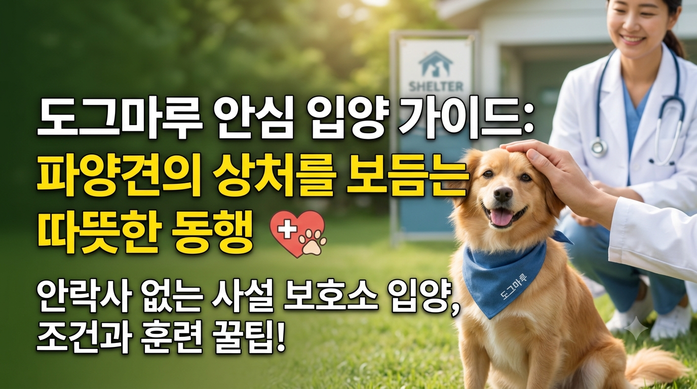 도그마루 안심 입양 가이드: 파양견의 상처를 보듬는 따뜻한 동행